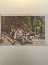 vintage redwoods yosemite for sale vintage redwoods yosemite for sale Redding