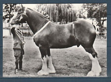 Cpsm 1960 nature d'occasion  Bourg-en-Bresse