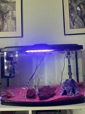 Aquarium complet poisson d'occasion  Aubevoye