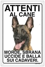 Malinois mod attenti usato  Vertemate con Minoprio