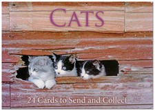 Postkartenbuch postcard book gebraucht kaufen  Bad Honnef