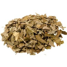Ginkgo leaf for sale  Arp