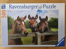 500 teile ravensburger gebraucht kaufen 500 teile ravensburger gebraucht kaufen  Lüdenscheid