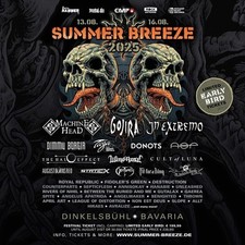 Summer breeze 2025 gebraucht kaufen  Wernau (Neckar)