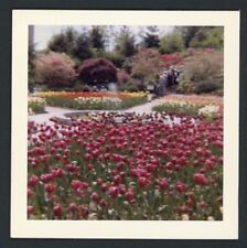 Beautiful flower garden for sale  Brooklyn
