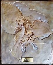 Full sized archaeopteryx for sale  UK