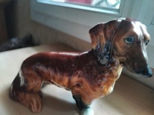 Chien basset teckel d'occasion  La Roche-sur-Yon