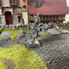 Warhammer hochelfen lehrmeiste gebraucht kaufen  Lich