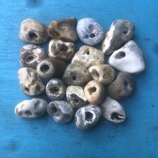 Twenty natural hag for sale  RYE