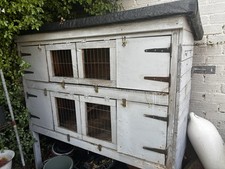 Rabbit guinea pig for sale  HUNSTANTON