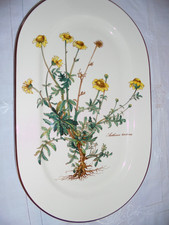 Piatto carne villeroy usato Piatto carne villeroy usato  Spedire a Italy