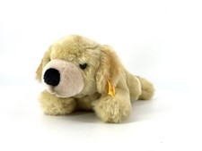 Akc american kennel for sale  Spring