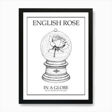 Englische rose einer gebraucht kaufen  Versand nach Germany