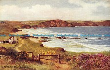 R040076 widemouth bay. for sale  PURLEY