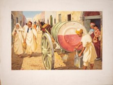 Pino dell orco usato Pino dell orco usato  Roma