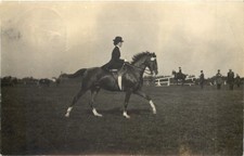 Königsberg reitsport 692934 gebraucht kaufen  Eimeldingen