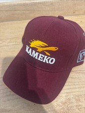 Kameko horse racing for sale Kameko horse racing for sale  HORSHAM