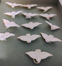 doves pure white for sale doves pure white for sale Morton Grove