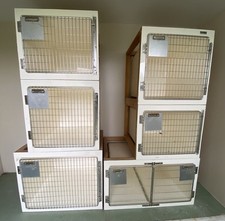 White geeling various for sale  BURNHAM-ON-CROUCH