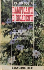 Rampicanti ricadenti per usato  Italia