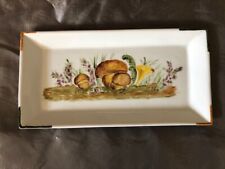 Petit plat 24x12 d'occasion  Gisors