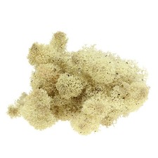 Islandmoos natur 400g gebraucht kaufen  Deutschland