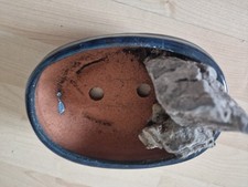Japanese brown colour for sale  LONDON