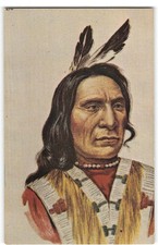 Chief red cloud for sale  Foresthill