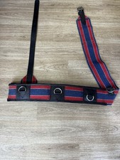 Lunging roller pony for sale  WESTON-SUPER-MARE