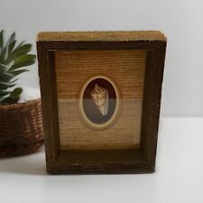 Seashell wooden framed for sale  Brookshire