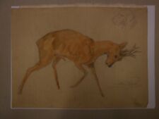 48211 rehbock aquarell gebraucht kaufen  Witzhave