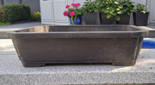 Bonsai pot rectangular for sale  ESHER