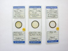 Vintage microscope slides for sale  LEDBURY