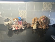 Job lot dogs for sale  MARLBOROUGH