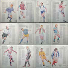 Club colours historical for sale  DARLINGTON