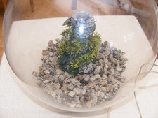 Biorb litre for sale  ST. ALBANS