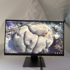 Dell p2422h monitor for sale  NORTH BERWICK