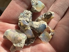 Welo pale roh gebraucht kaufen Welo pale roh gebraucht kaufen  Stade