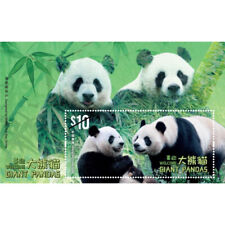 Hong kong giant for sale  Herndon