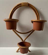 Vintage bamboo plant for sale  PENZANCE