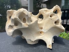 Holey rock aquarium d'occasion  Expédié en Belgium