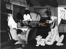 Photography mickey mouse d'occasion  Marseille I