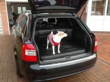 Luxury dog sofa for sale  BASILDON