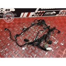 Faisceau moteur honda d'occasion  France