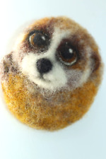 Lemur baby animal for sale  Westminster