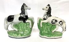staffordshire zebra for sale staffordshire zebra for sale TARPORLEY