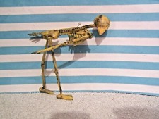 Dolls house skeleton for sale  THORNTON-CLEVELEYS