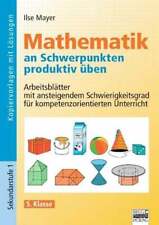 Mathematik schwerpunkten produ gebraucht kaufen  Stuttgart