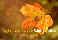 Kartenlegen rundumblick per gebraucht kaufen  Delitzsch