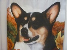 Garden flag tri for sale  Wilmington